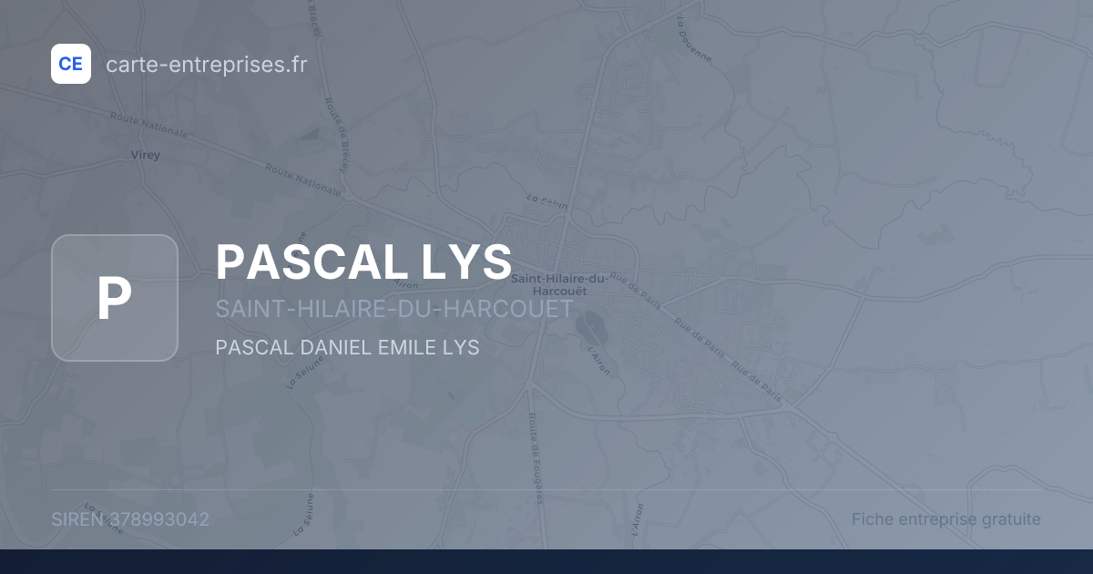 PASCAL LYS — 378993042 — fiche entreprise