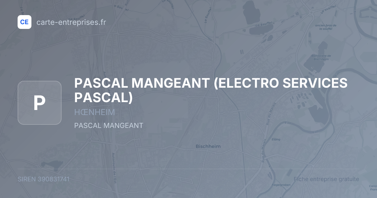 PASCAL MANGEANT (ELECTRO SERVICES PASCAL) — 390831741 — fiche entreprise