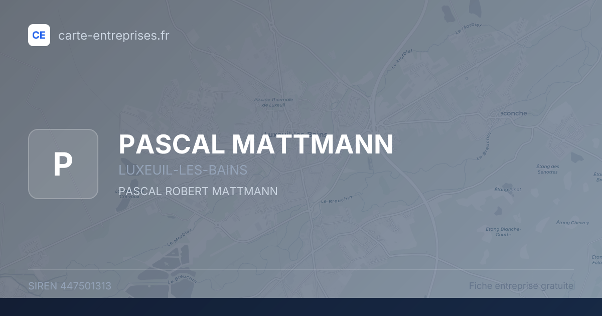 PASCAL MATTMANN — 447501313 — fiche entreprise
