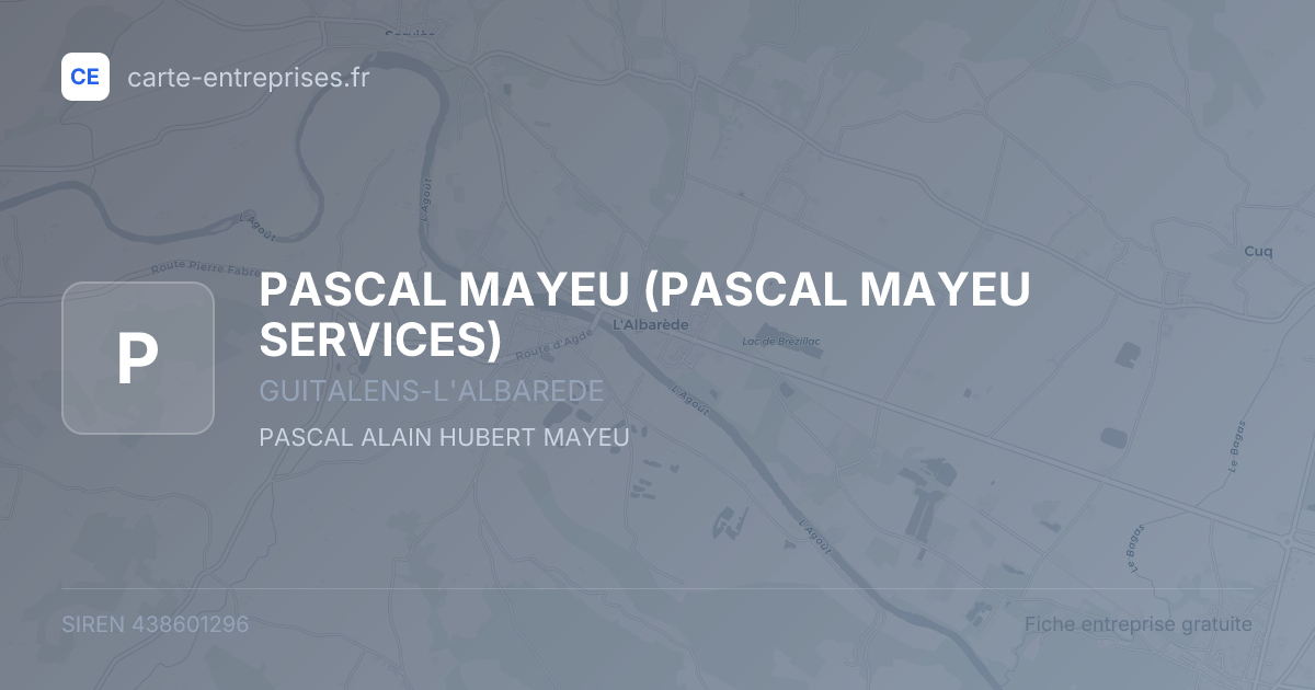 PASCAL MAYEU (PASCAL MAYEU SERVICES) — 438601296 — fiche entreprise