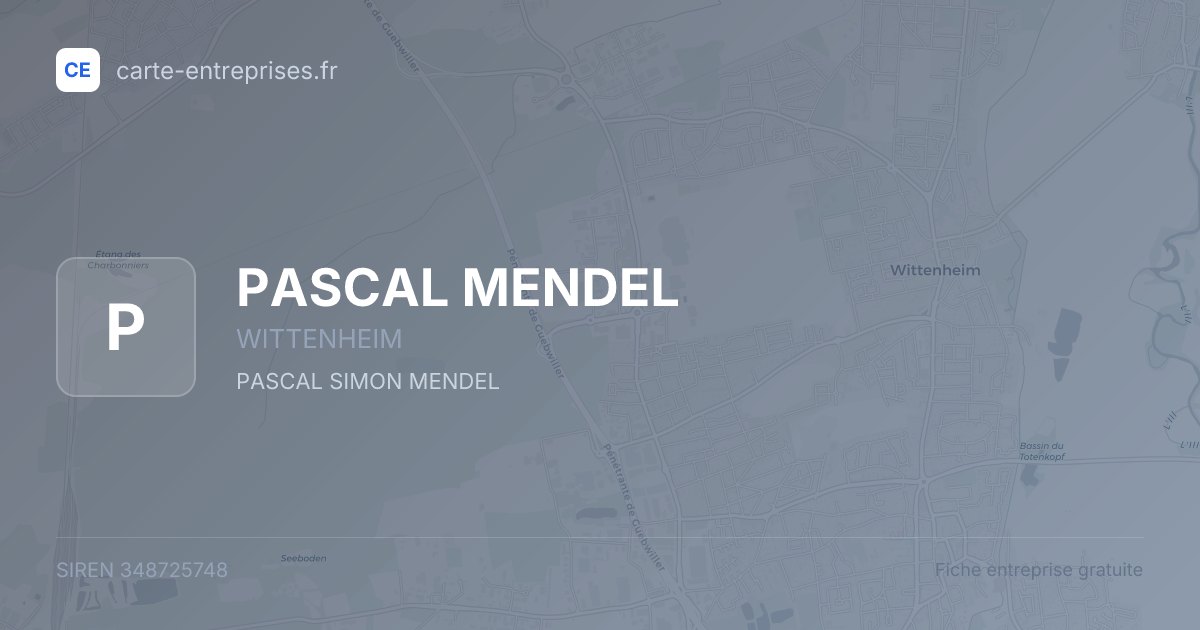 PASCAL MENDEL — 348725748 — fiche entreprise