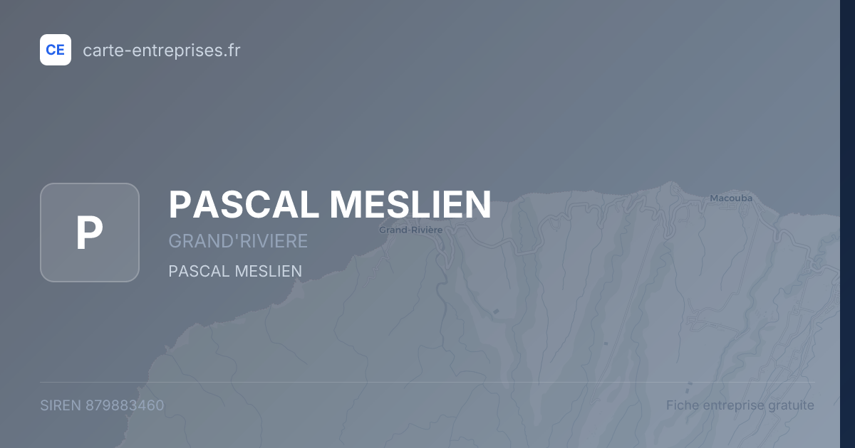 PASCAL MESLIEN — 879883460 — fiche entreprise