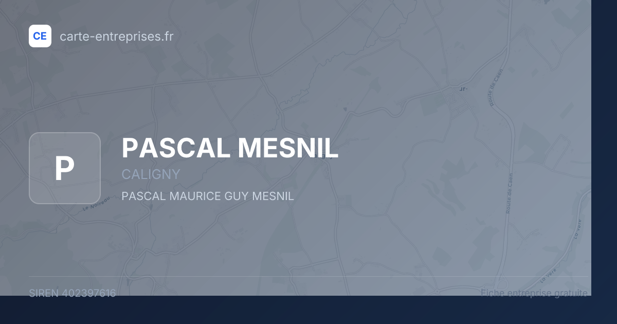 PASCAL MESNIL — 402397616 — fiche entreprise