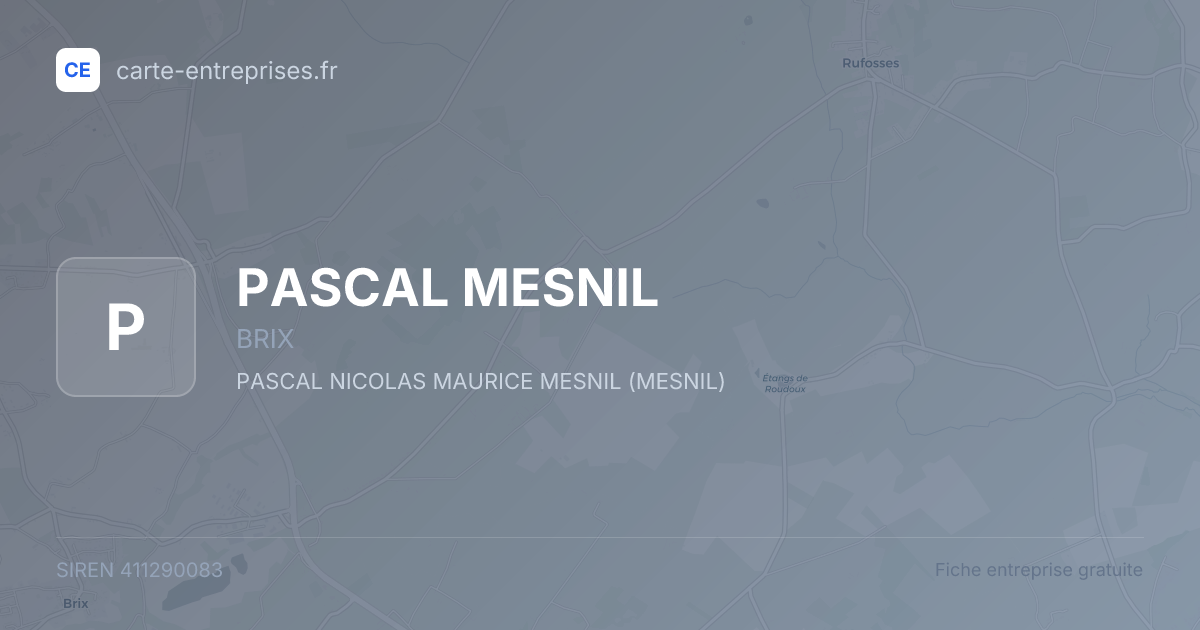 PASCAL MESNIL — 411290083 — fiche entreprise