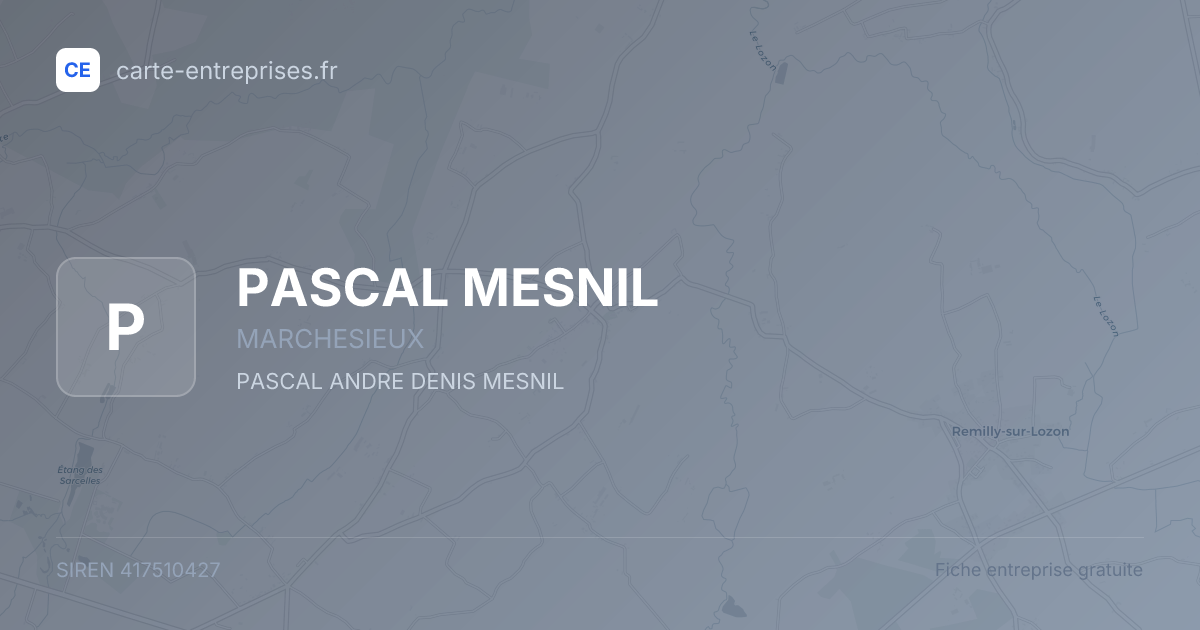 PASCAL MESNIL — 417510427 — fiche entreprise