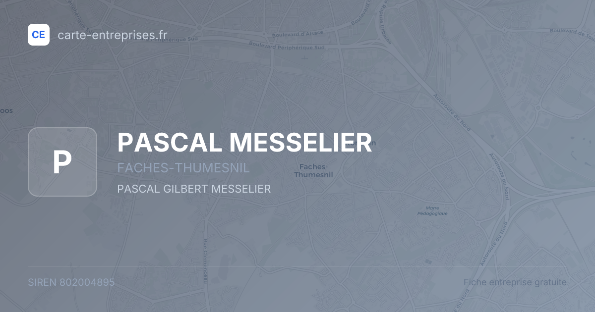 PASCAL MESSELIER — 802004895 — fiche entreprise