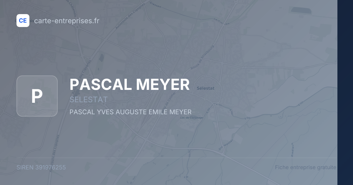 PASCAL MEYER — 391976255 — fiche entreprise