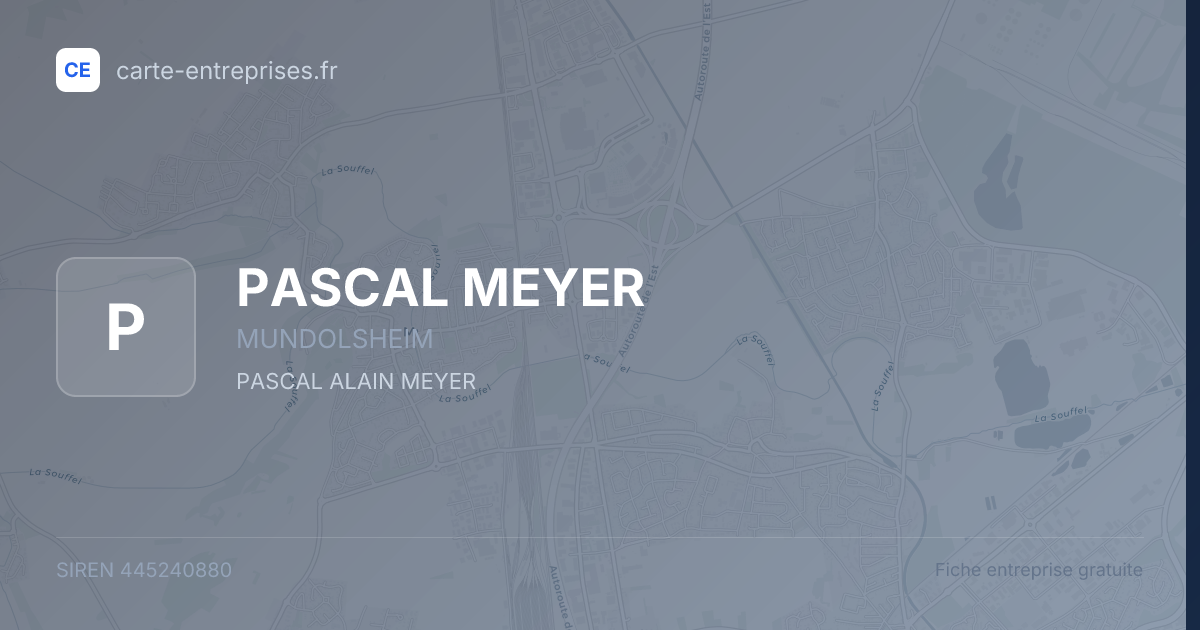 PASCAL MEYER — 445240880 — fiche entreprise