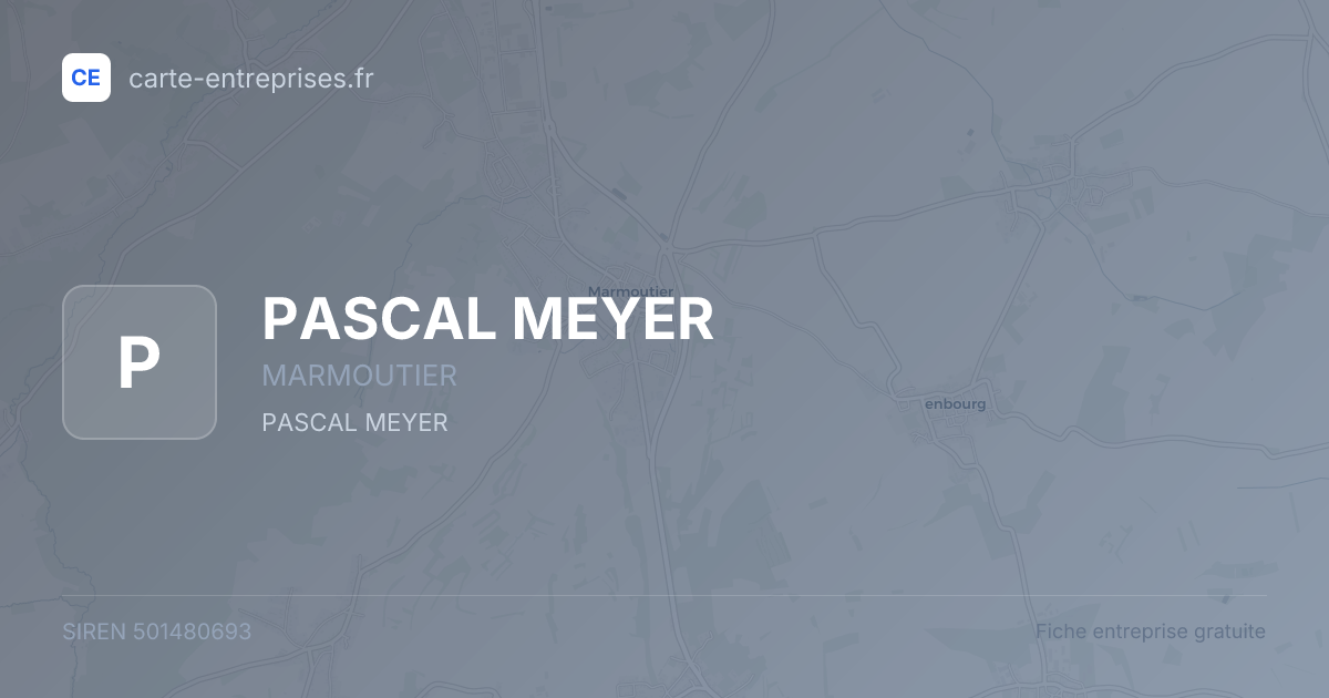 PASCAL MEYER — 501480693 — fiche entreprise