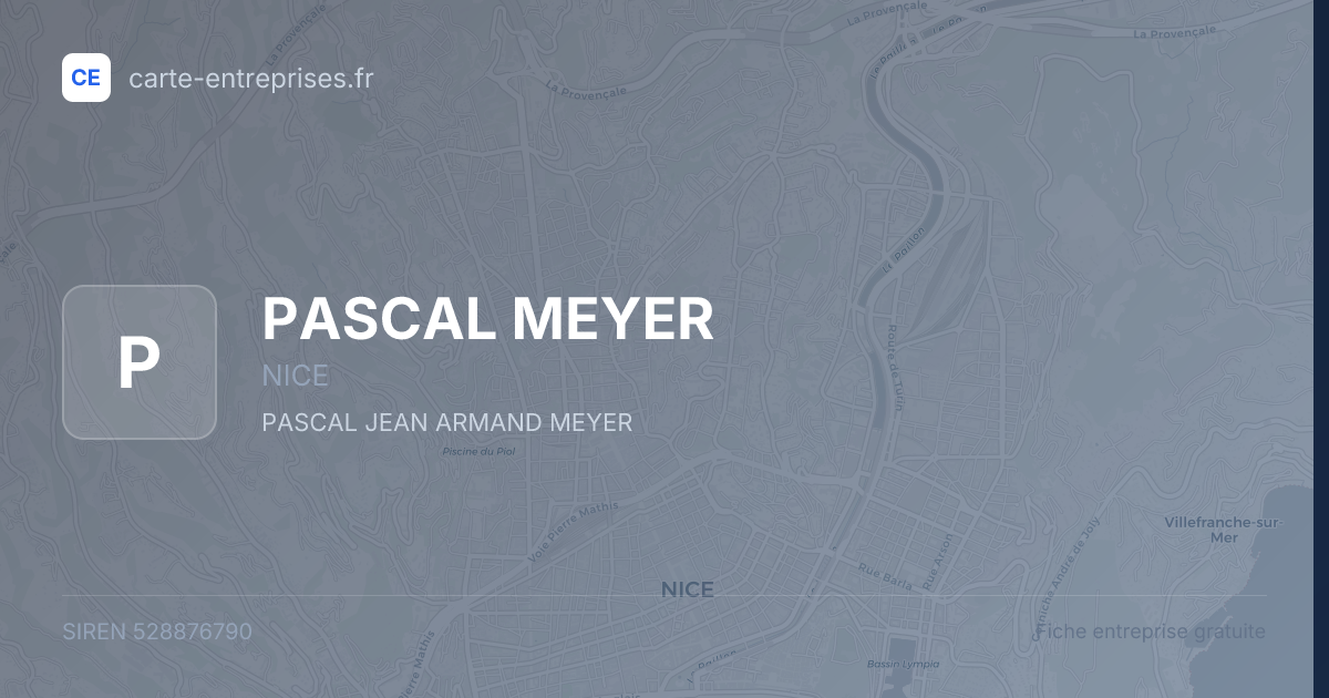 PASCAL MEYER — 528876790 — fiche entreprise