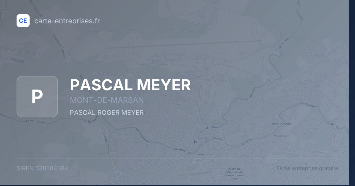 PASCAL MEYER — 538584384 — fiche entreprise
