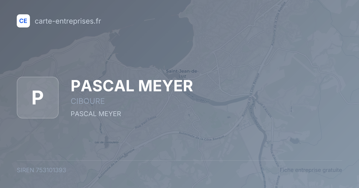 PASCAL MEYER — 753101393 — fiche entreprise