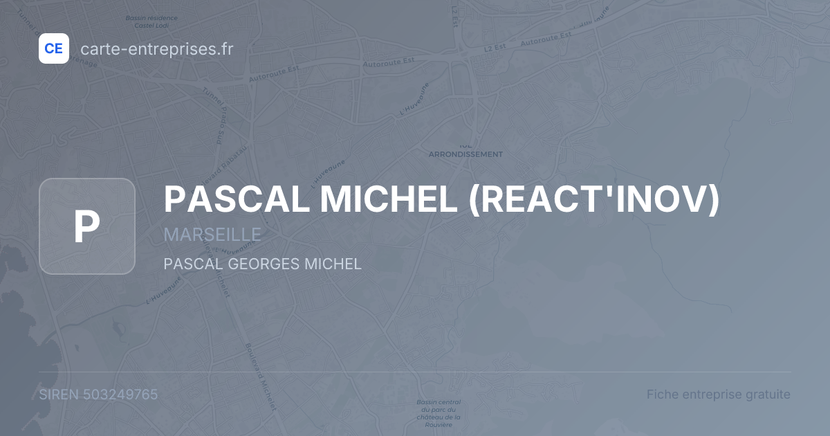 PASCAL MICHEL (REACT'INOV) — 503249765 — fiche entreprise