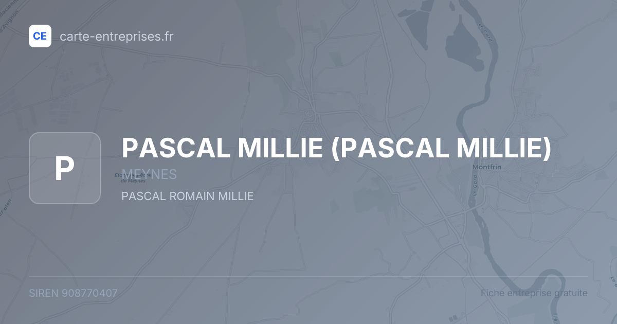 PASCAL MILLIE — 908770407 — fiche entreprise