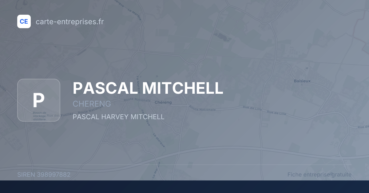 PASCAL MITCHELL — 398997882 — fiche entreprise