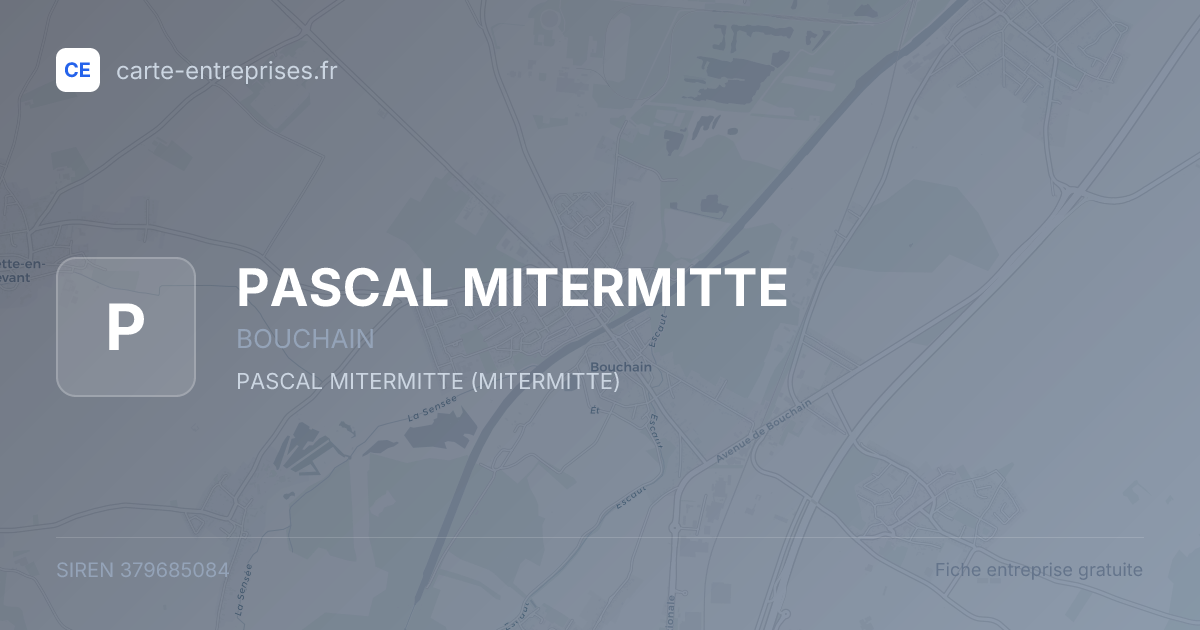 PASCAL MITERMITTE — 379685084 — fiche entreprise