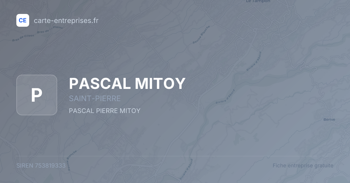 PASCAL MITOY — 753819333 — fiche entreprise