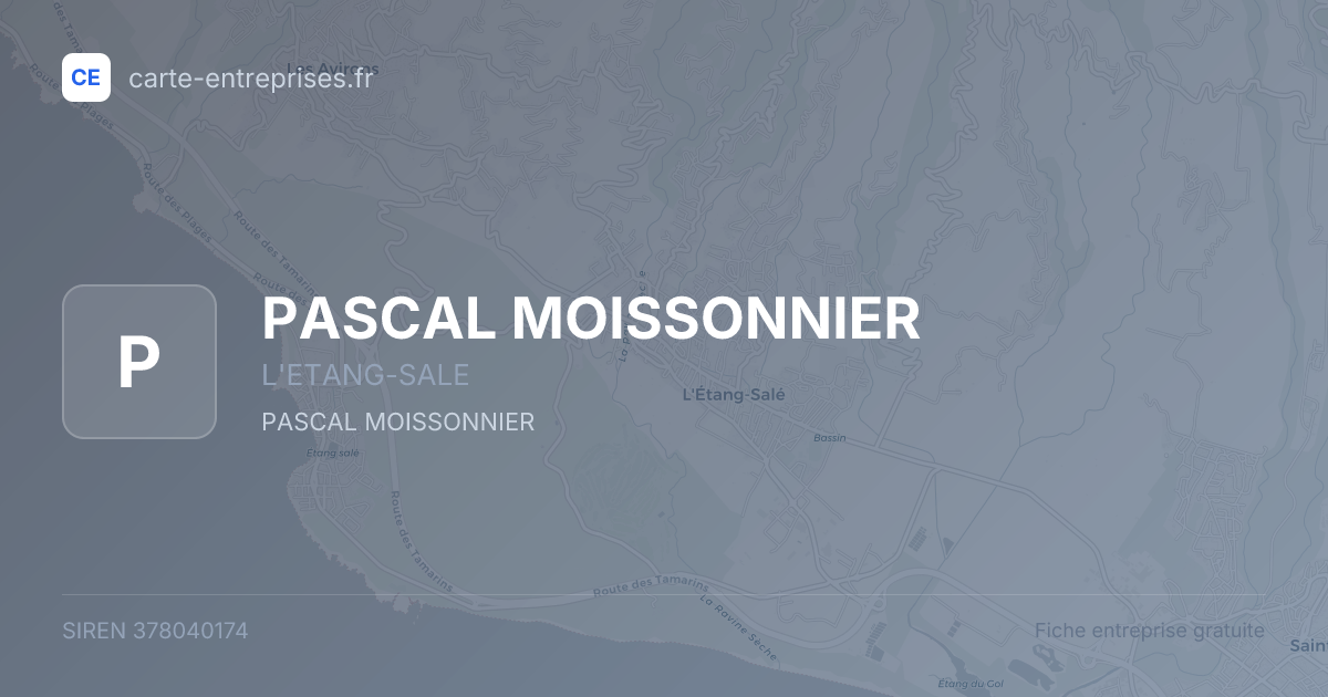 PASCAL MOISSONNIER — 378040174 — fiche entreprise