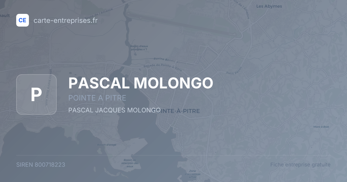PASCAL MOLONGO — 800718223 — fiche entreprise