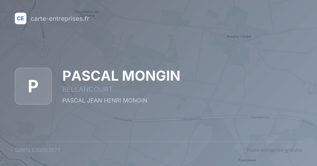 PASCAL MONGIN — 530063577 — fiche entreprise