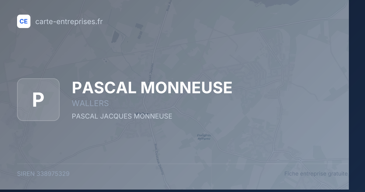 PASCAL MONNEUSE — 338975329 — fiche entreprise
