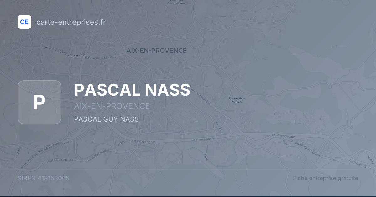 PASCAL NASS — 413153065 — fiche entreprise