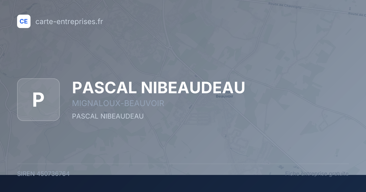 PASCAL NIBEAUDEAU — 450736764 — fiche entreprise