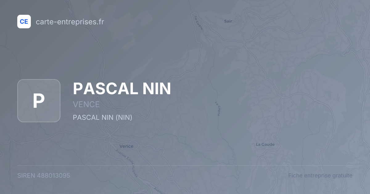 PASCAL NIN — 488013095 — fiche entreprise