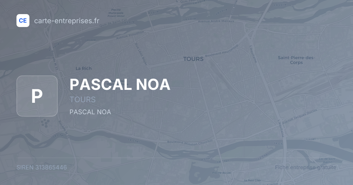 PASCAL NOA — 313865446 — fiche entreprise