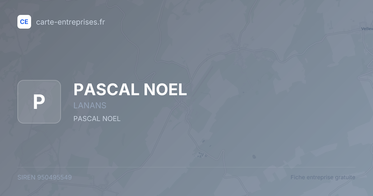 PASCAL NOEL — 950495549 — fiche entreprise
