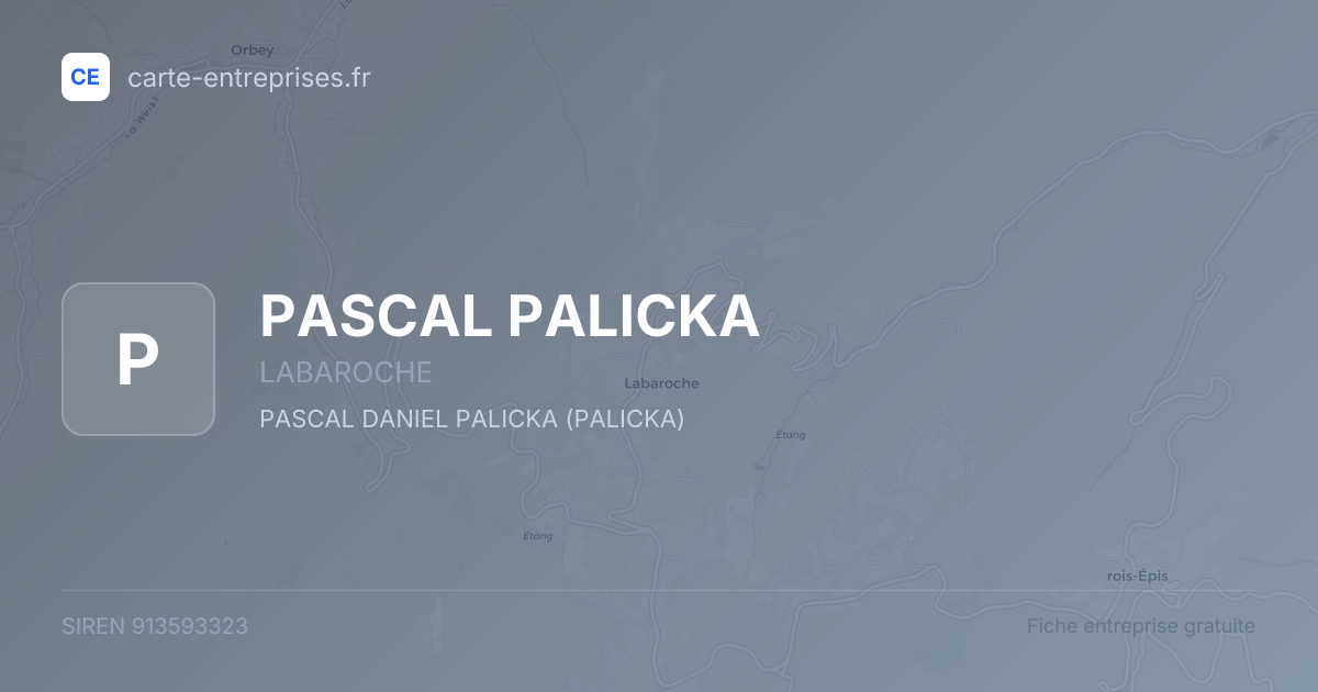 PASCAL PALICKA — 913593323 — fiche entreprise