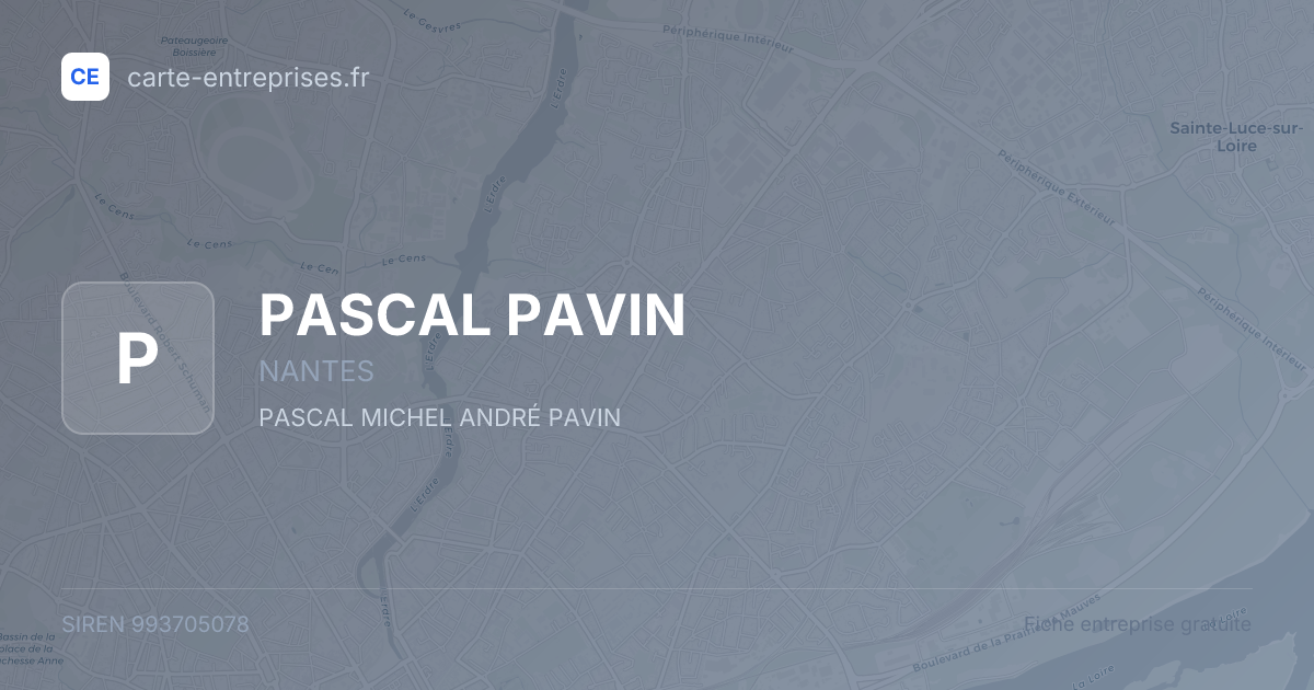 PASCAL PAVIN — 993705078 — fiche entreprise