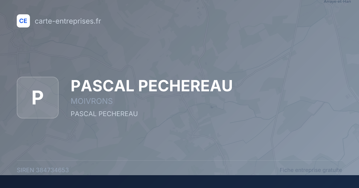 PASCAL PECHEREAU — 384734653 — fiche entreprise