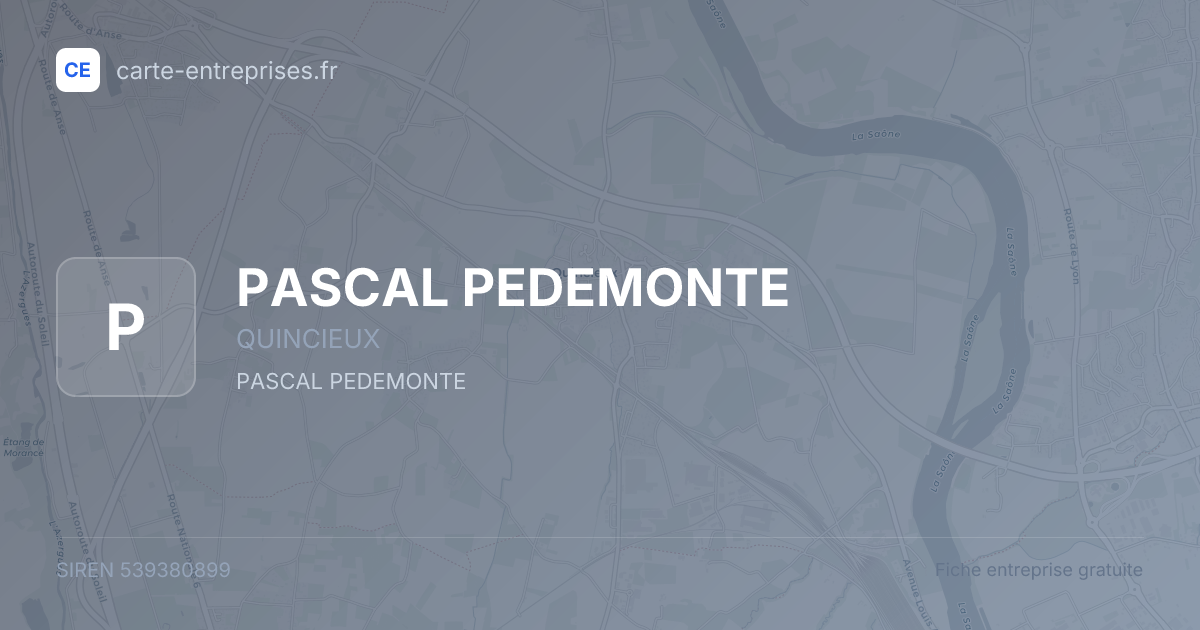 PASCAL PEDEMONTE — 539380899 — fiche entreprise