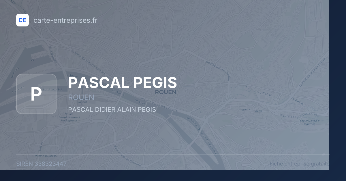 PASCAL PEGIS — 338323447 — fiche entreprise