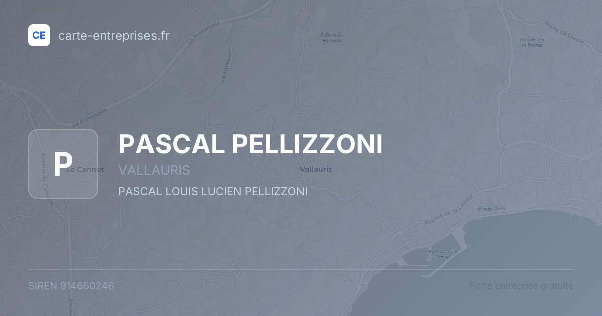 PASCAL PELLIZZONI — 914660246 — fiche entreprise