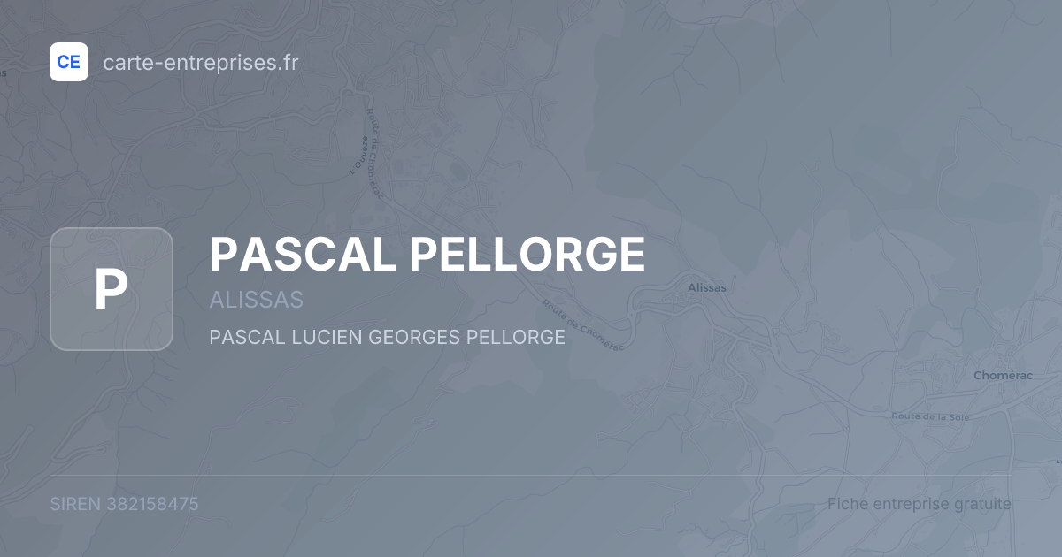 PASCAL PELLORGE — 382158475 — fiche entreprise