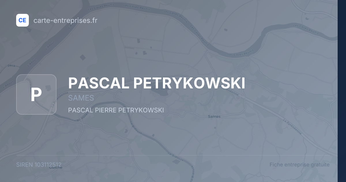 PASCAL PETRYKOWSKI — 103112512 — fiche entreprise