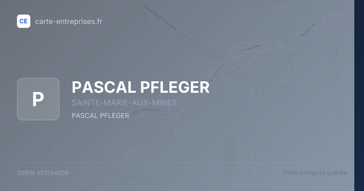 PASCAL PFLEGER — 451254809 — fiche entreprise