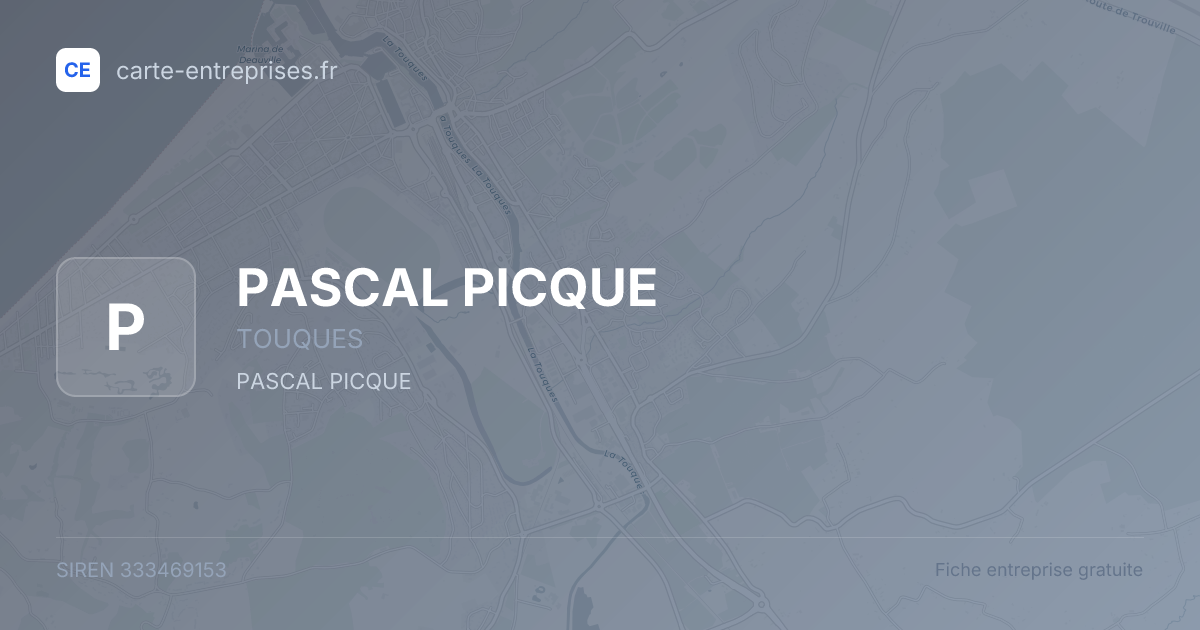 PASCAL PICQUE — 333469153 — fiche entreprise