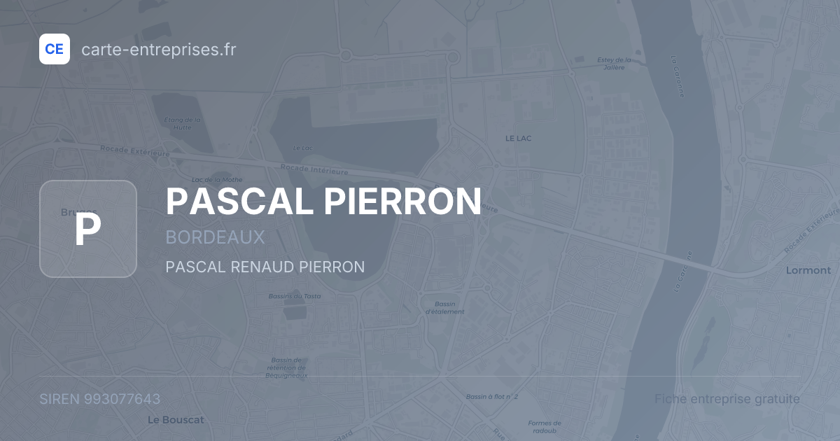 PASCAL PIERRON — 993077643 — fiche entreprise