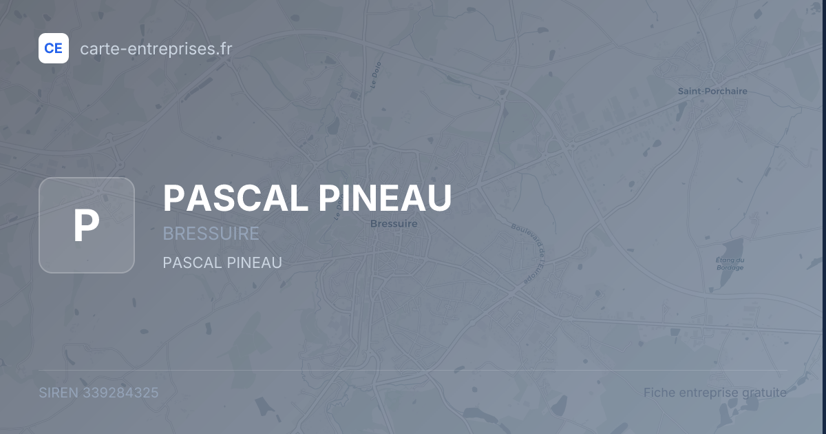 PASCAL PINEAU — 339284325 — fiche entreprise
