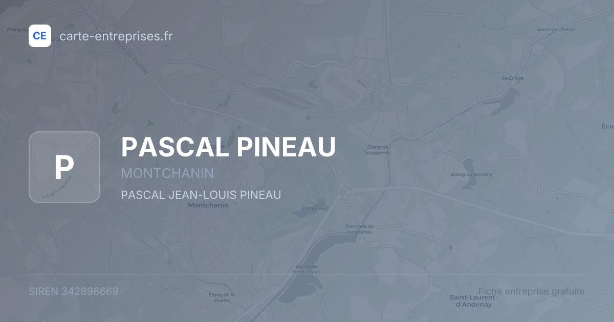 PASCAL PINEAU — 342896669 — fiche entreprise