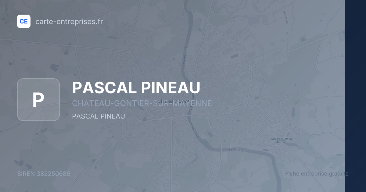 PASCAL PINEAU — 382250686 — fiche entreprise