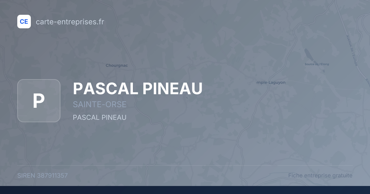 PASCAL PINEAU — 387911357 — fiche entreprise