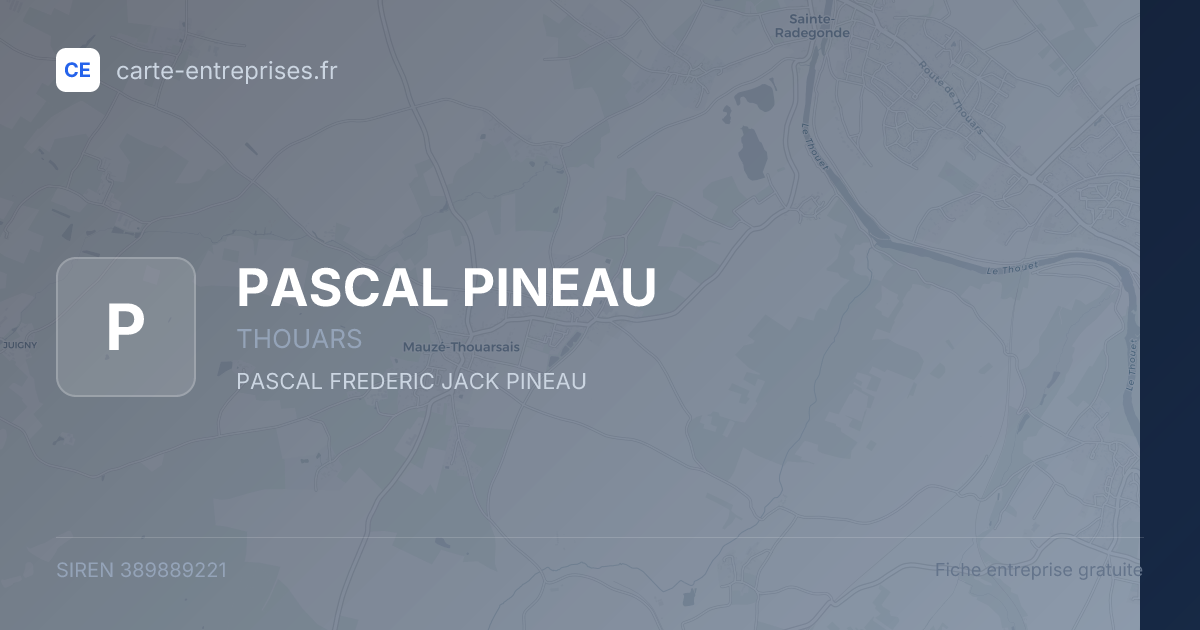PASCAL PINEAU — 389889221 — fiche entreprise