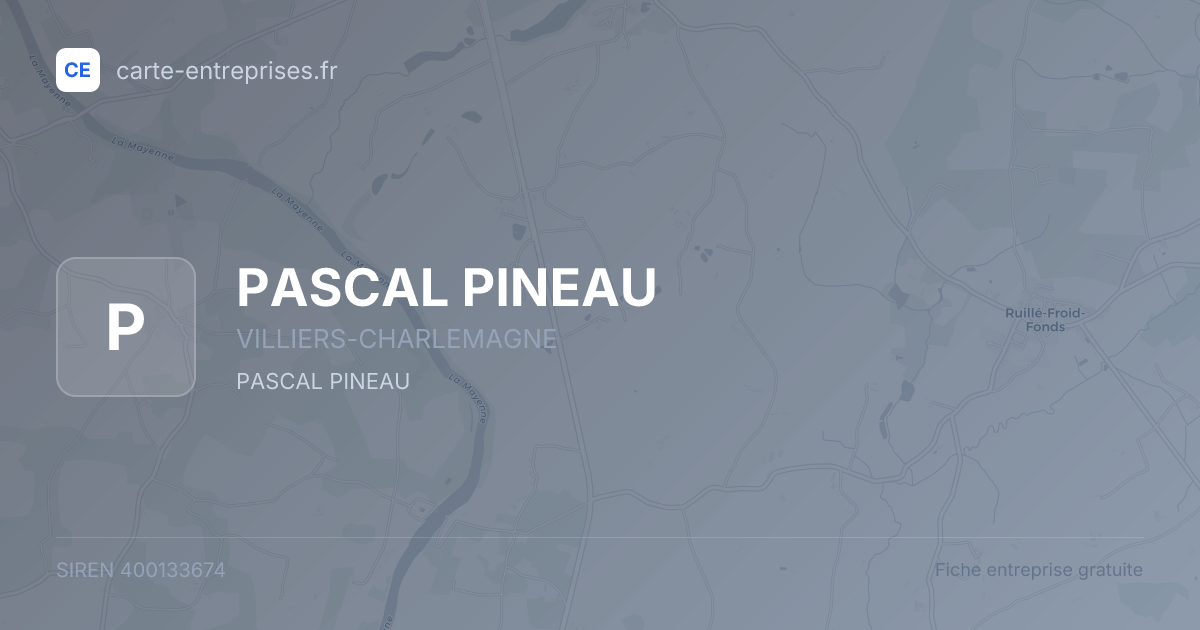 PASCAL PINEAU — 400133674 — fiche entreprise