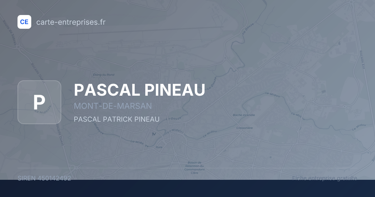 PASCAL PINEAU — 450142492 — fiche entreprise