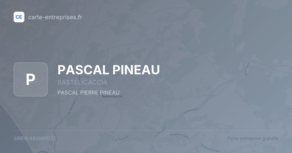 PASCAL PINEAU — 492667027 — fiche entreprise