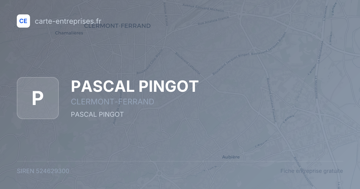 PASCAL PINGOT — 524629300 — fiche entreprise